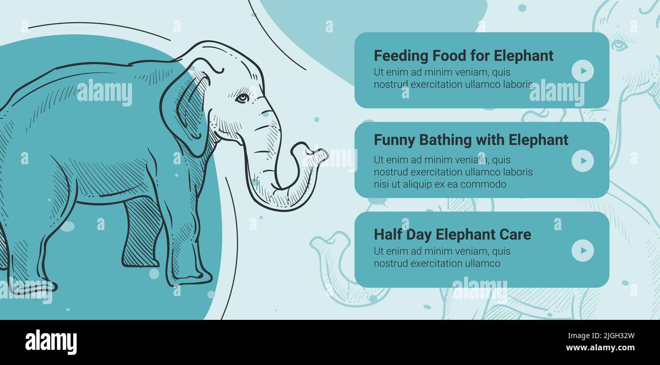 Feeding food for elephants, zoo excursion and fun Stock Vector