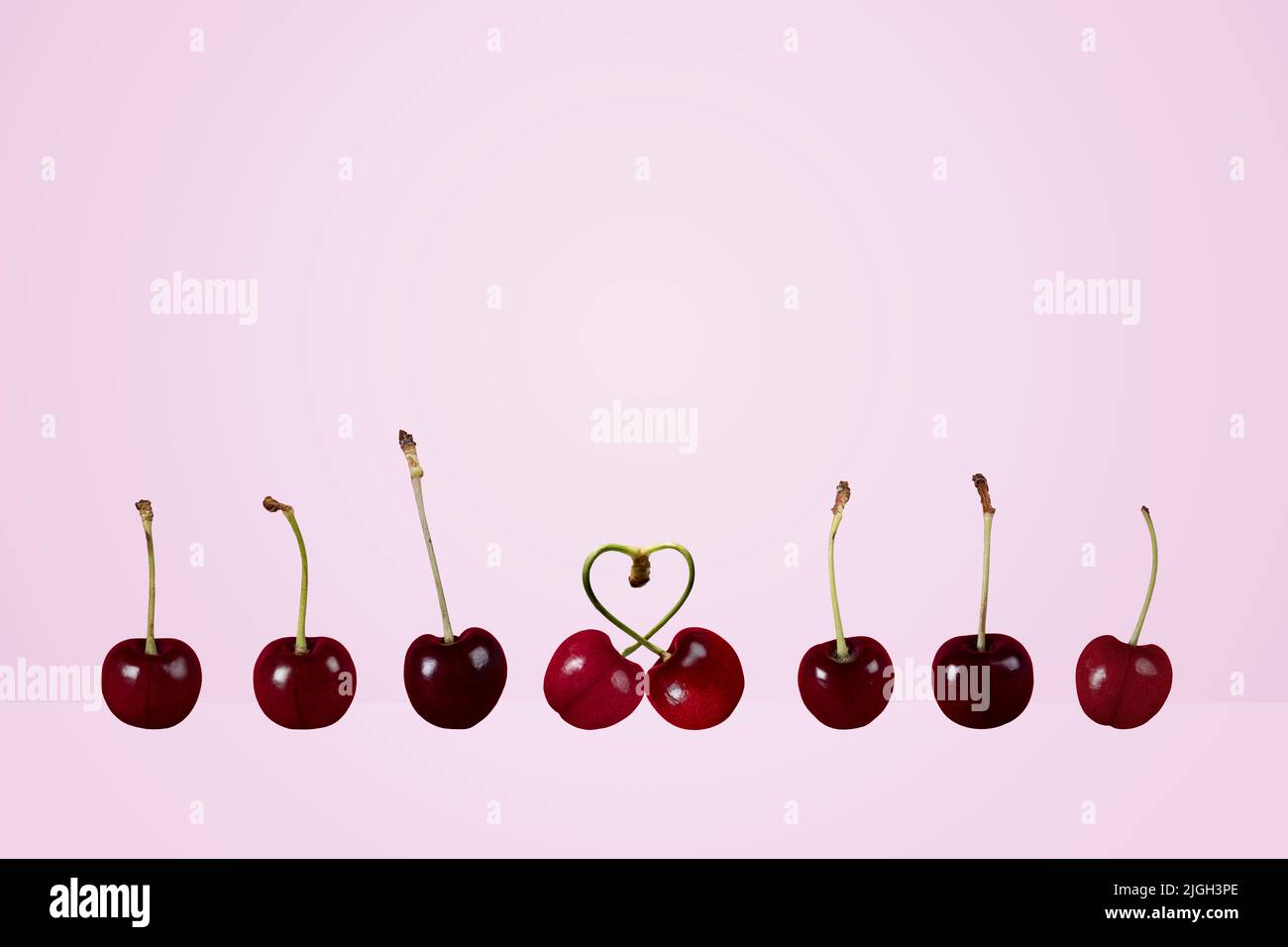 single couple singles couples concept row of ripe cherries pair heart cherries fruit on a colorful colourful lilac lavender background Stock Photo
