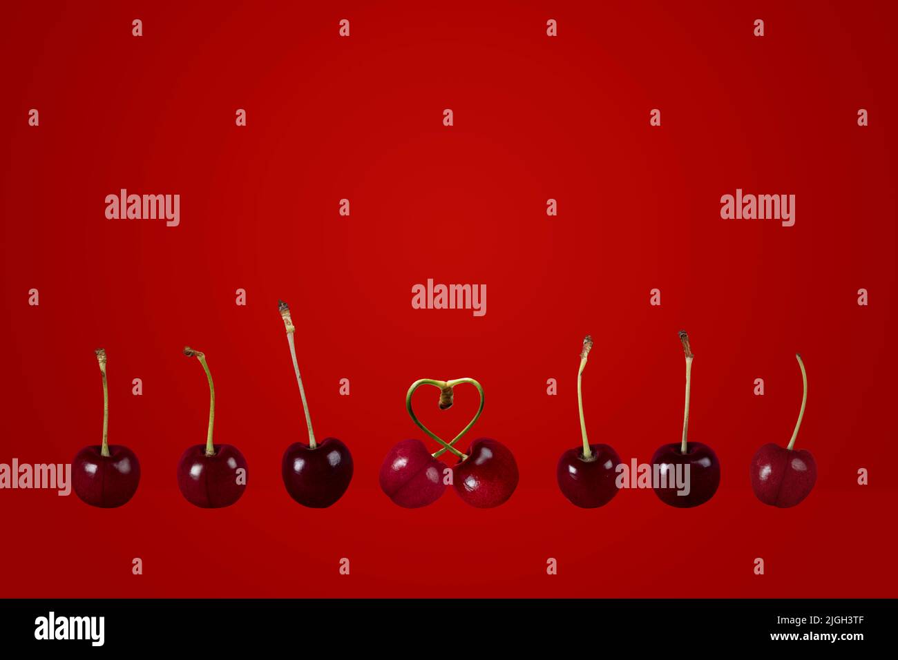 single couple concept row of ripe cherries pair heart cherries fruit on a colorful colourful red background Stock Photo