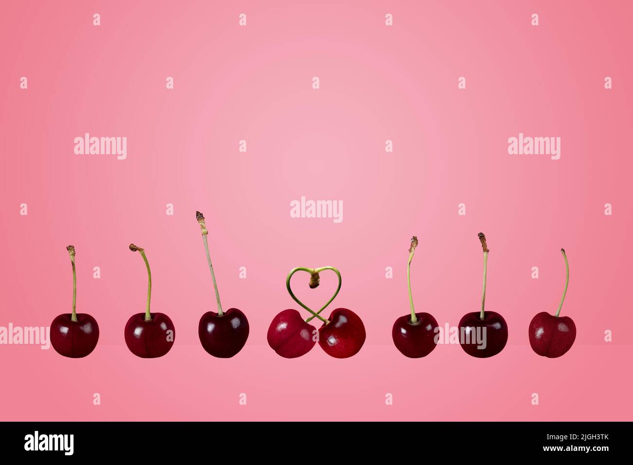 single couple singles couples concept row of ripe cherries pair heart cherries fruit on a colorful colourful peach pink background Stock Photo