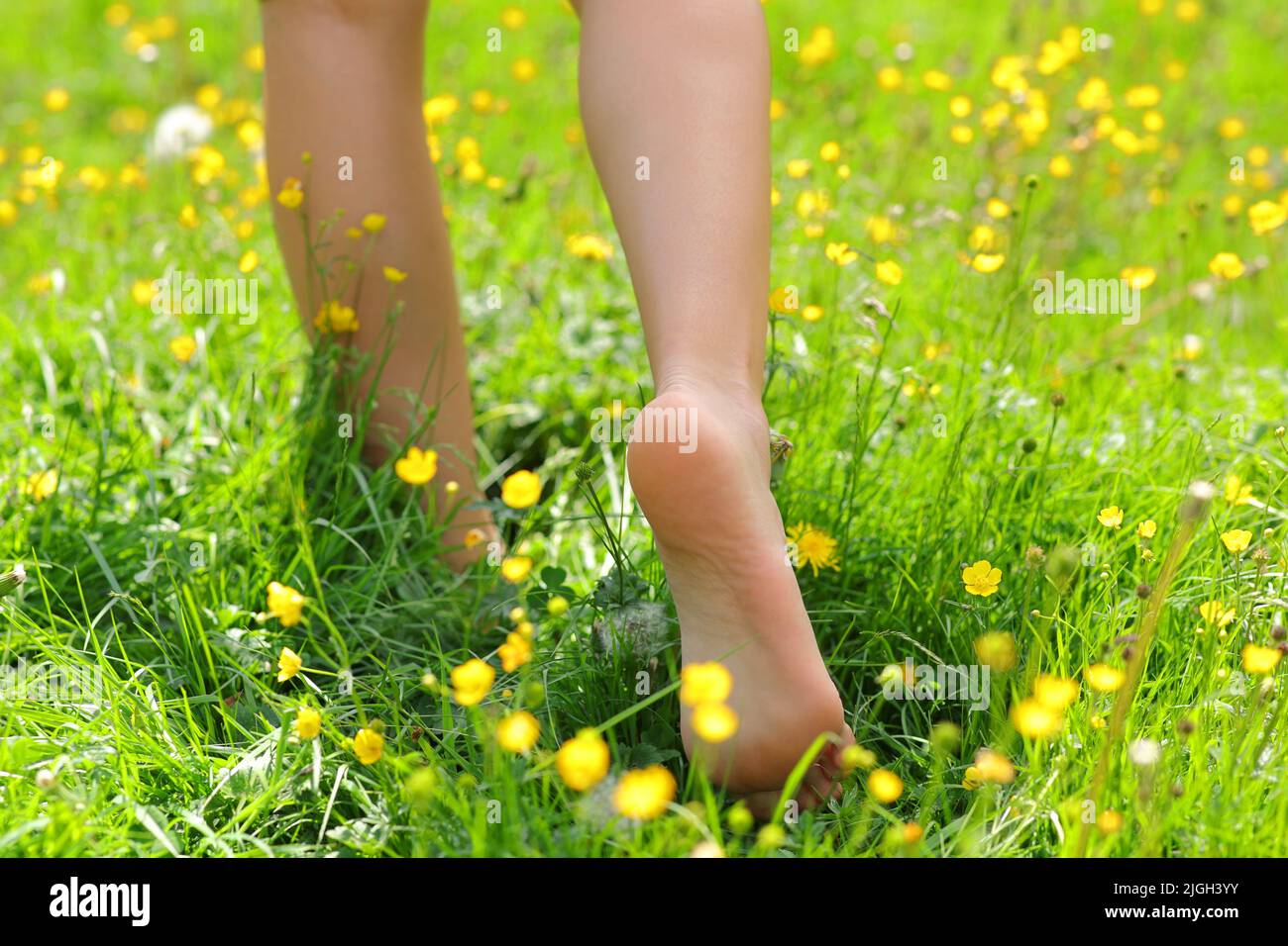 Back view portrait of a woman bare feet walking on the grass Stock Photo