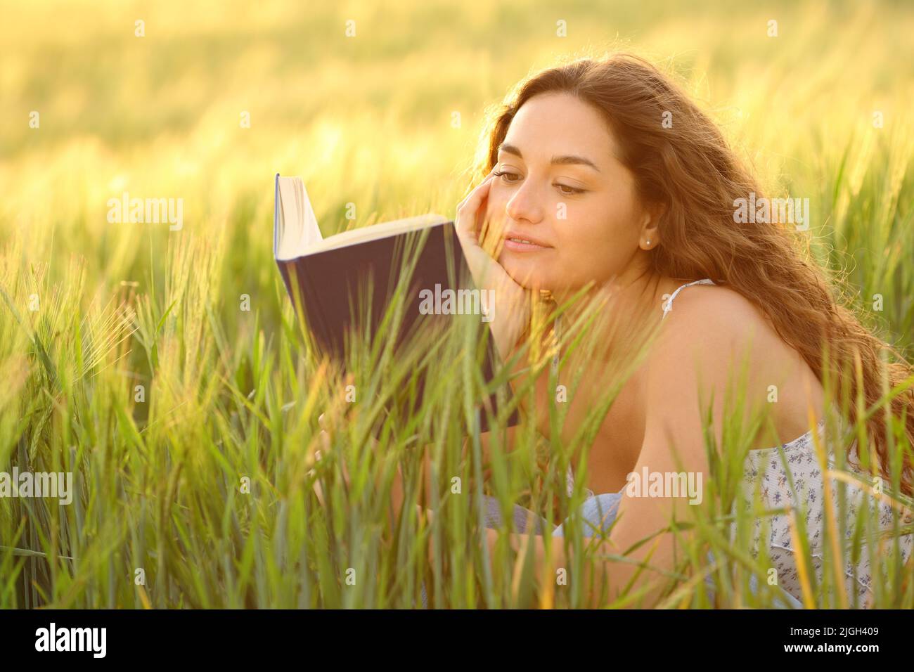 Woman reading a book relaxing sitting in a wheat field at sunset Stock Photo
