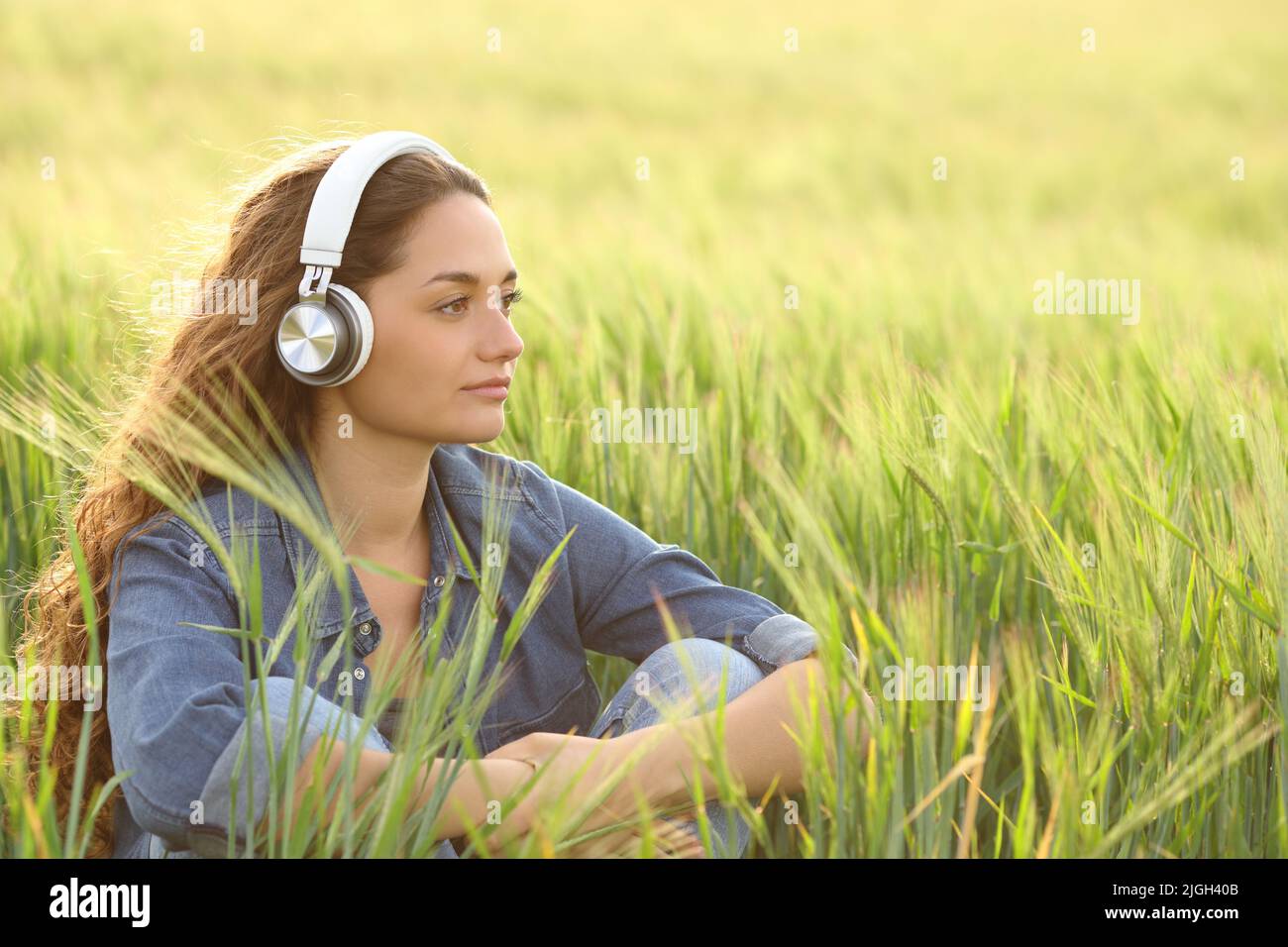 Pensive woman listening audio with wireless headphones looking away in a wheat field Stock Photo
