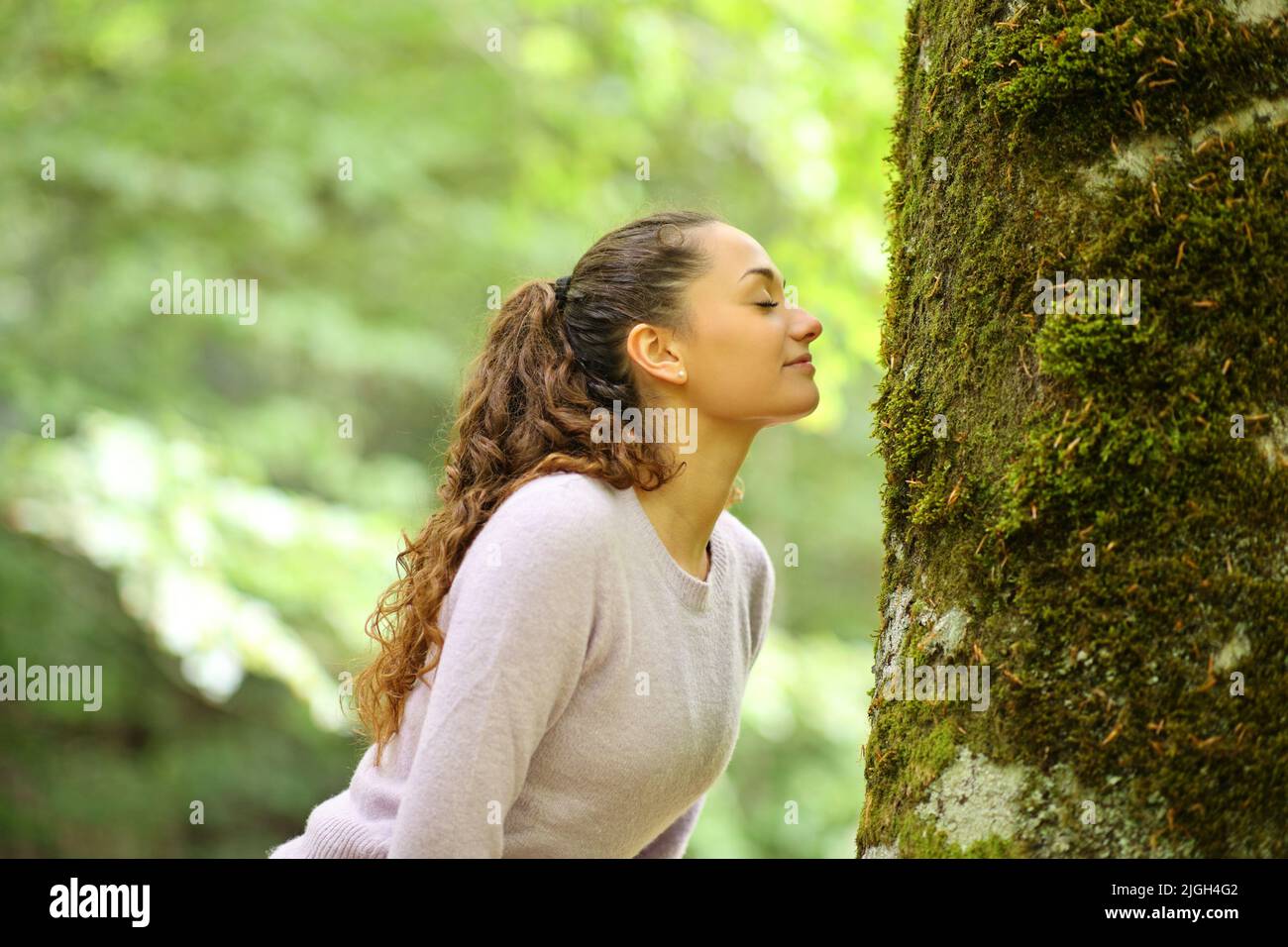 Profile of a happy woman smelling moss in a tree in a forest Stock Photo