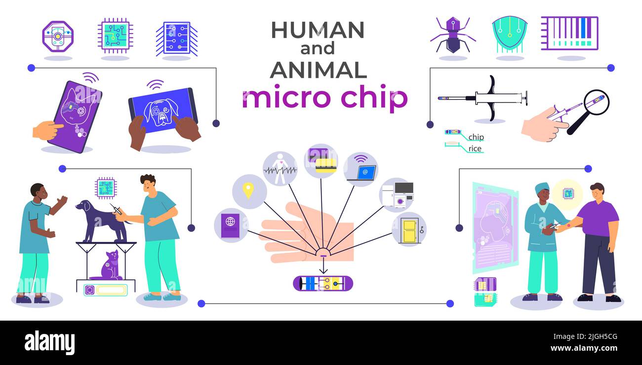 Micro chip animal scheme flat composition with editable text and flowchart of gadgets and human characters vector illustration Stock Vector