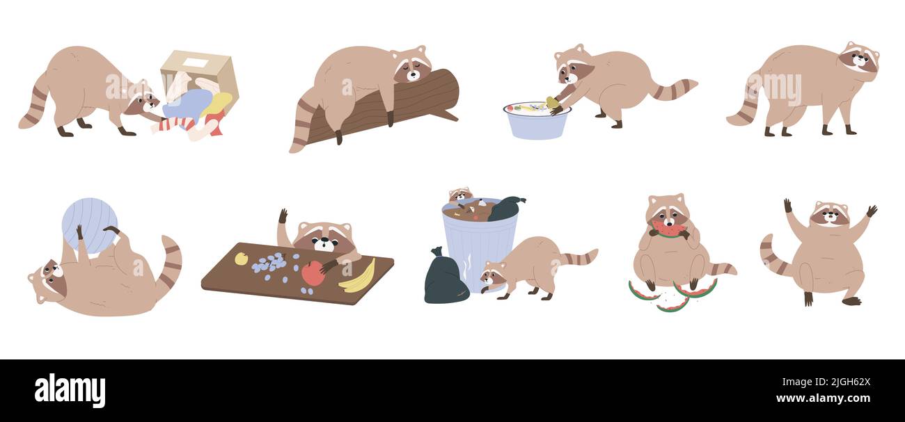 Flat collection of cute funny raccoon animal cartoon characters in ...