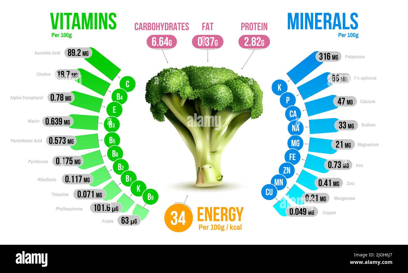 Broccoli nutrients infographics diagram showing vitamins minerals