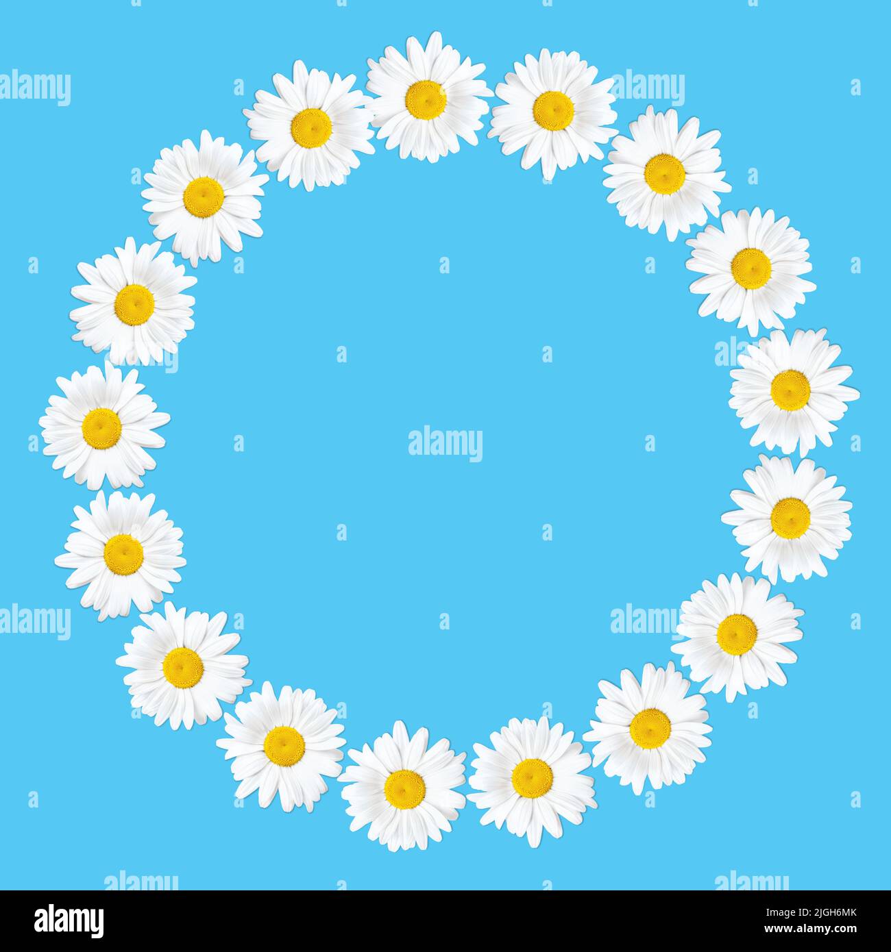 Vivid springtime background with a floral circle frame made from daisies. Stock Photo