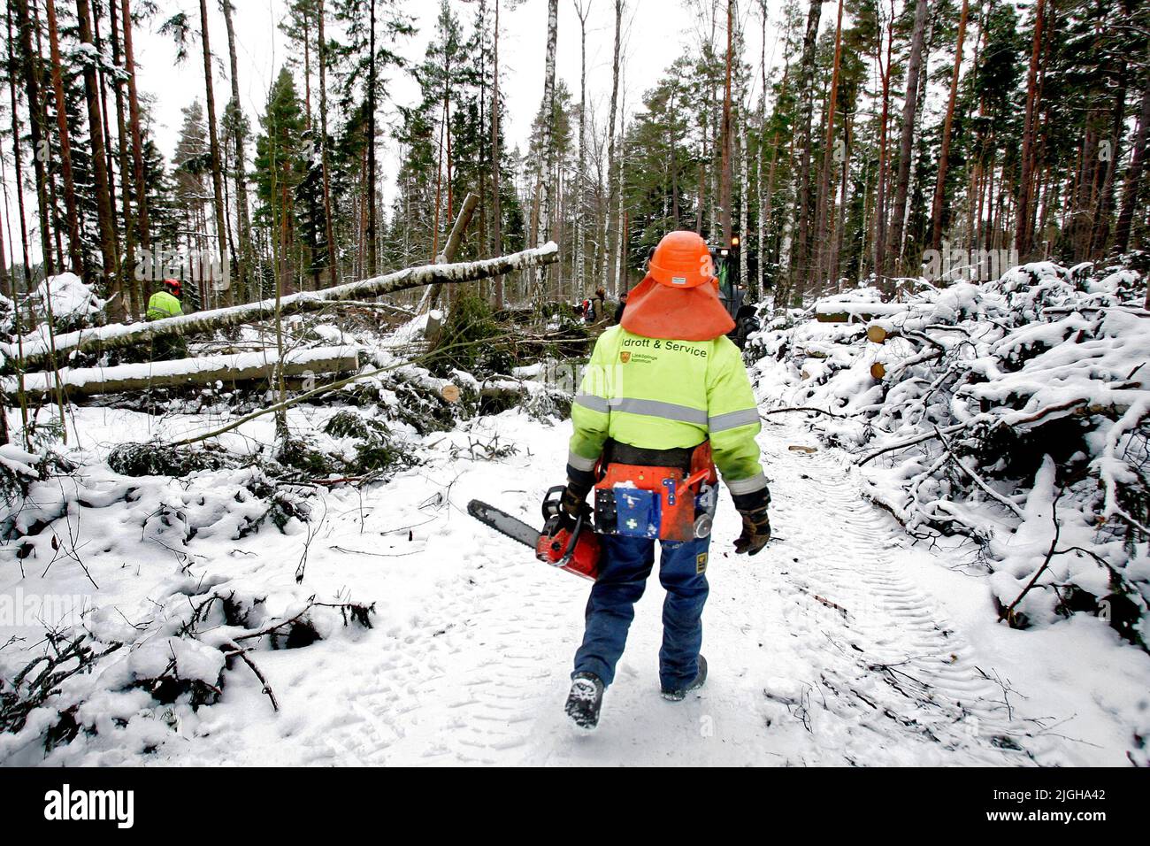 Forest workers in a winter forest. Stock Photo