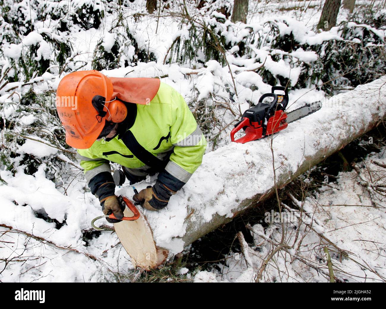 Forest workers in a winter forest. Stock Photo