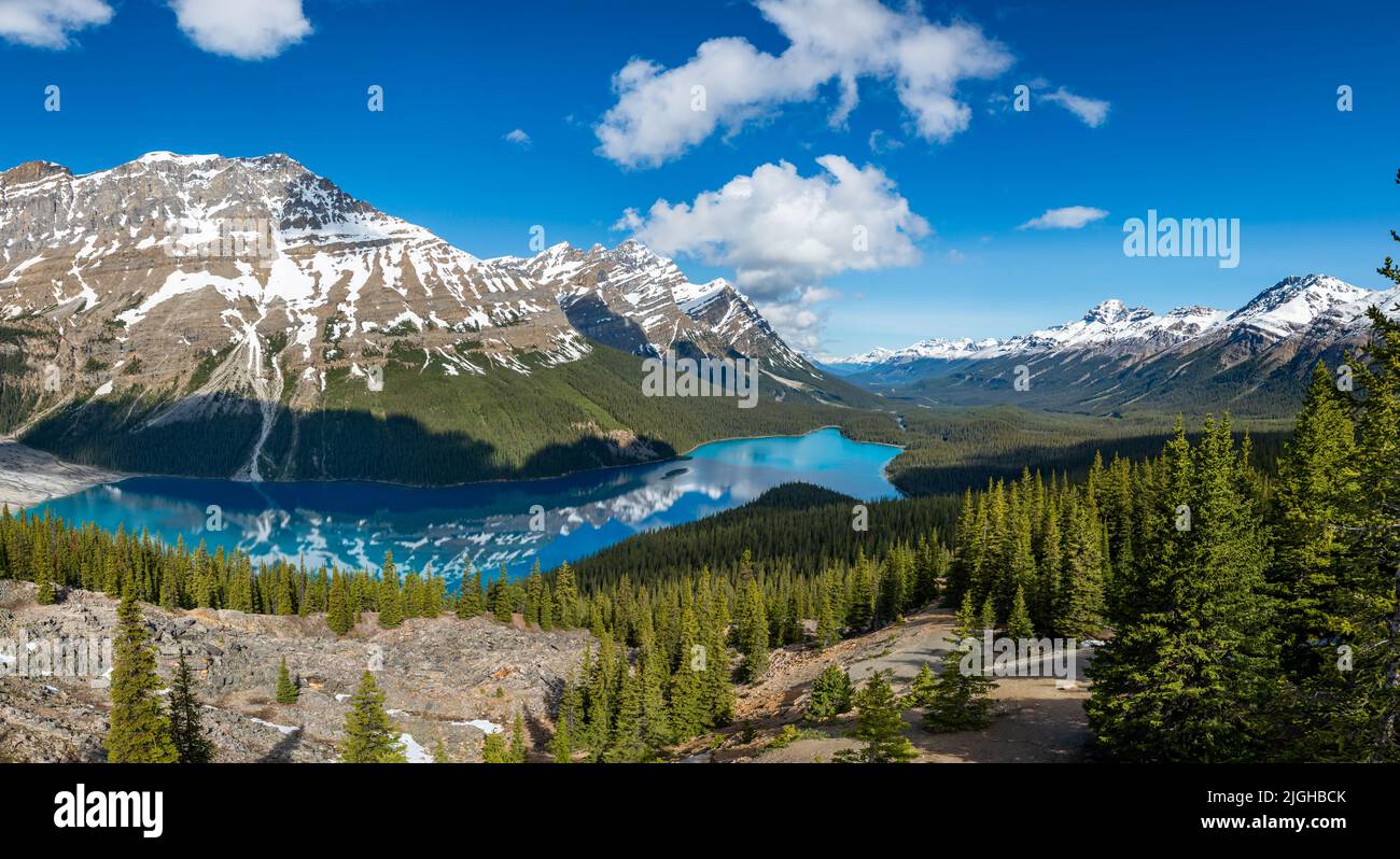 Amazing views of Peyto Lake Stock Photo