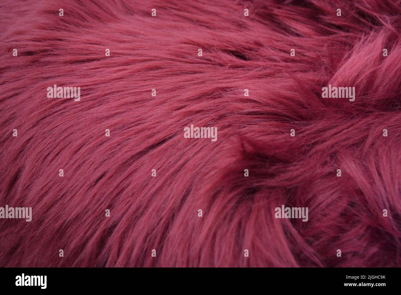 Fuchsia shaggy long pile artificial fur texture Stock Photo