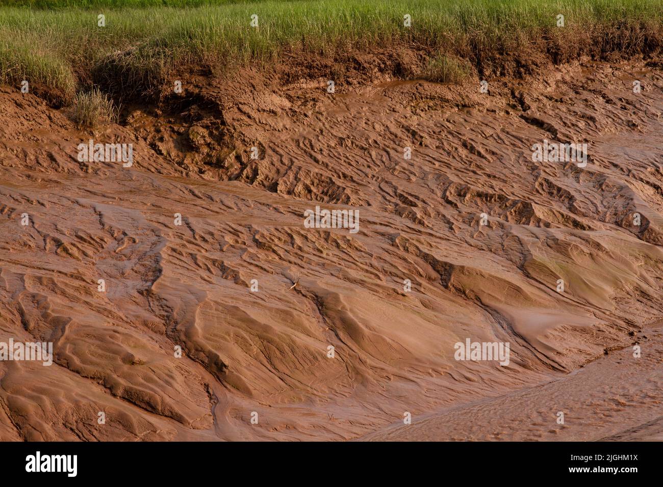 Beautiful shot wet mud hi-res stock photography and images - Alamy