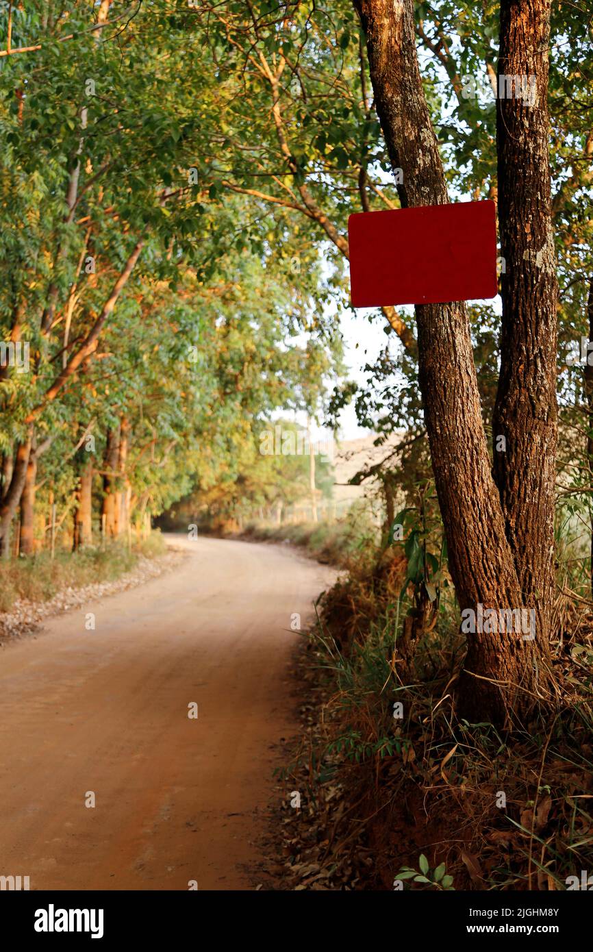 blank red sign pinned to tree during daytime outdoors Stock Photo
