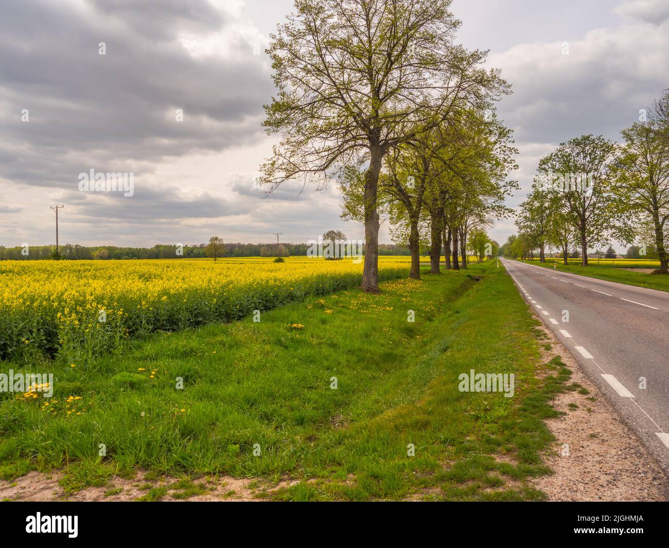 A road during spring time. Podlasie. Podlachia. Poland, Europe. The region is called Podlasko or Podlasze.. East Europe Stock Photo