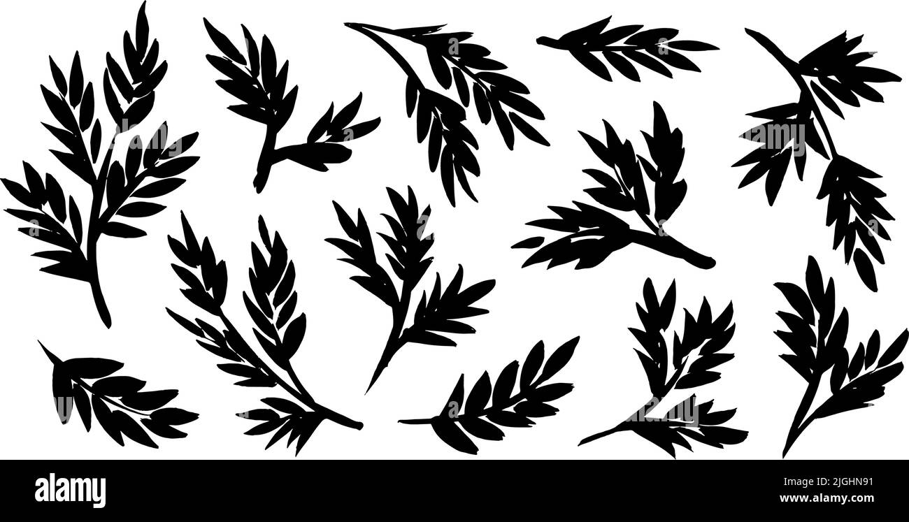 Rustic decorative plants, leaves and branches set Stock Vector