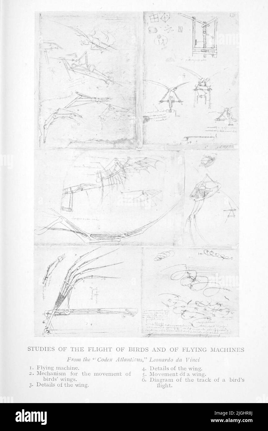 STUDIES OF THE FLIGHT OF BIRDS AND OF FLYING MACHINES. Leonardo da Vinci From ' The Book of Italy ' by Raffaello Piccoli, Publication date 1916 Publisher London. Unwin Stock Photo