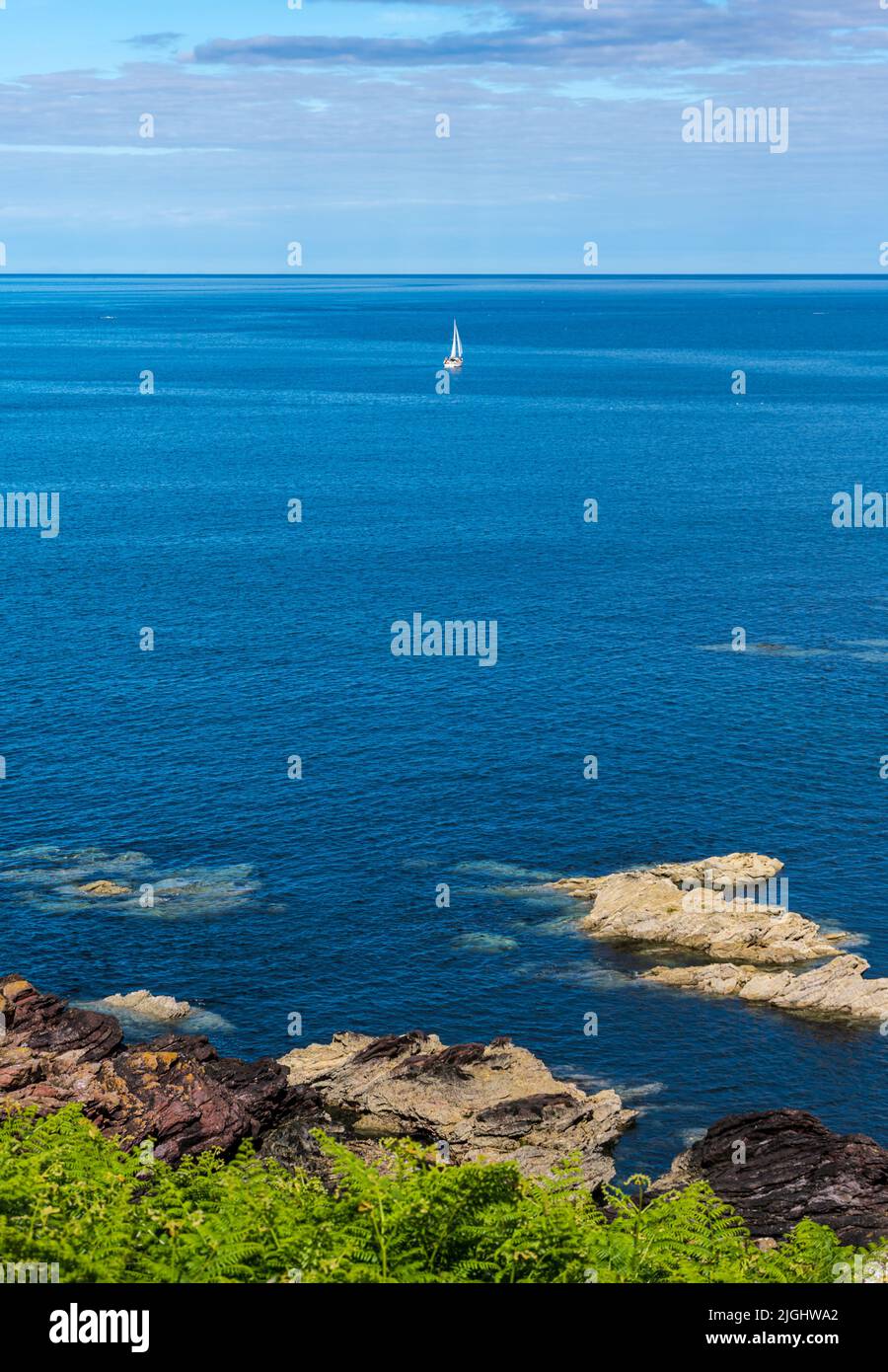 View of a yacht out in the North Sea from the Berwickshire coastline, Scotland, UK Stock Photo