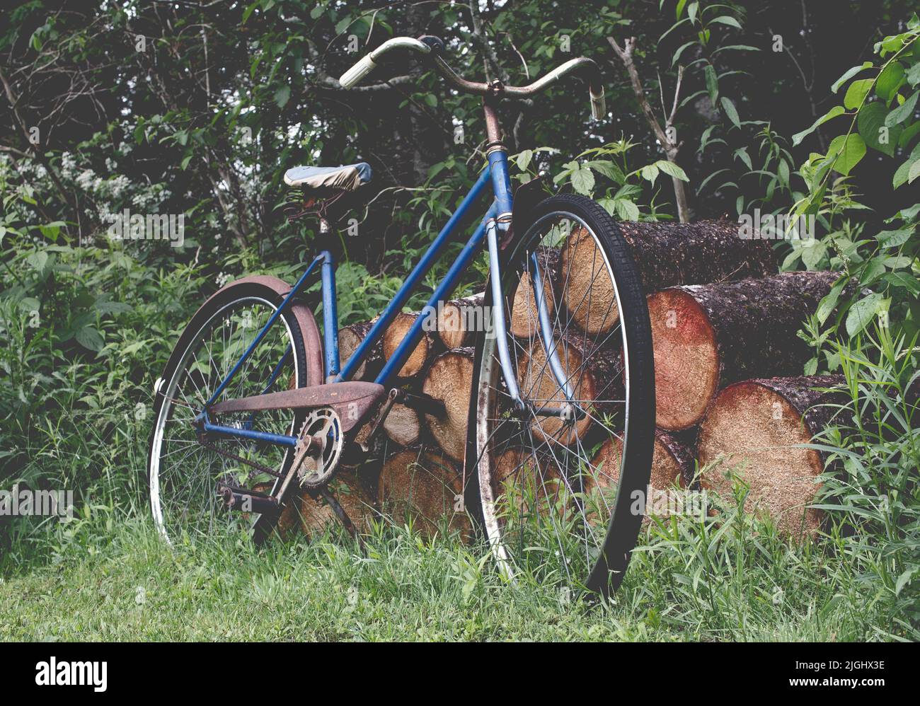 Old bicycle leaning against wood pile with a vintage faded look Stock Photo