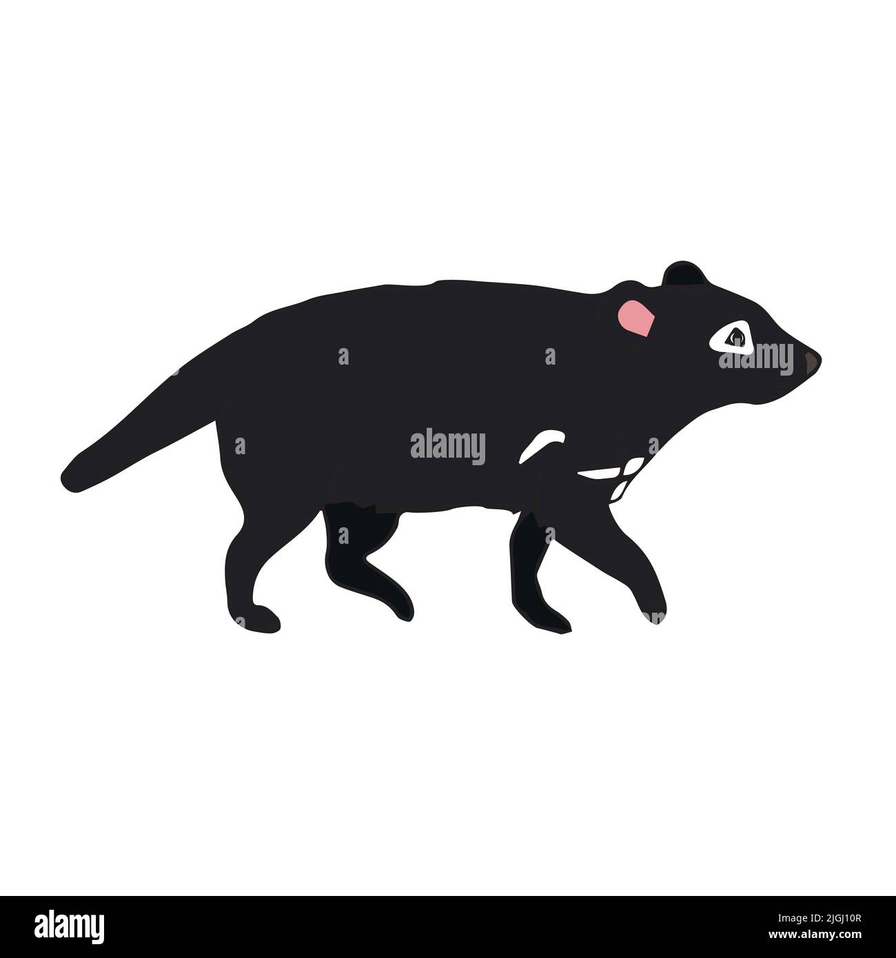 Vector hand drawn doodle sketch colored Tasmanian devil isolated on ...