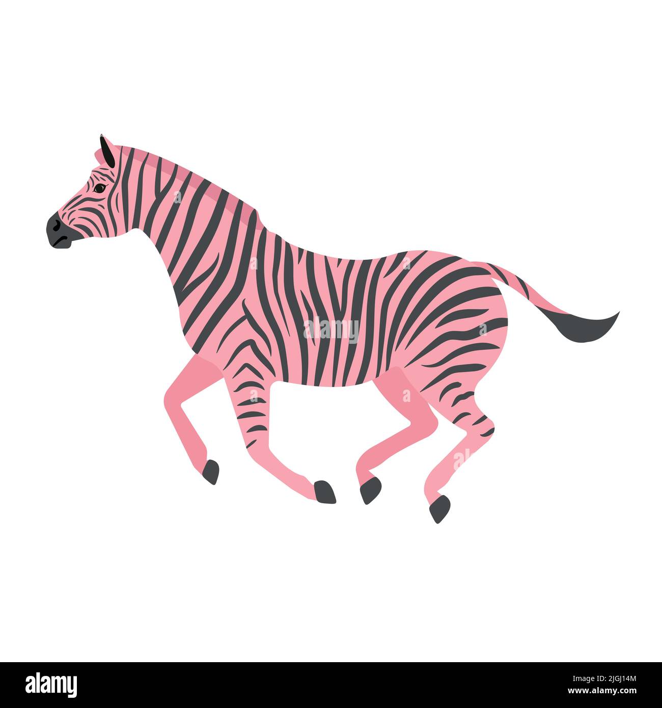 Vector hand drawn flat pink running zebra isolated on white background ...