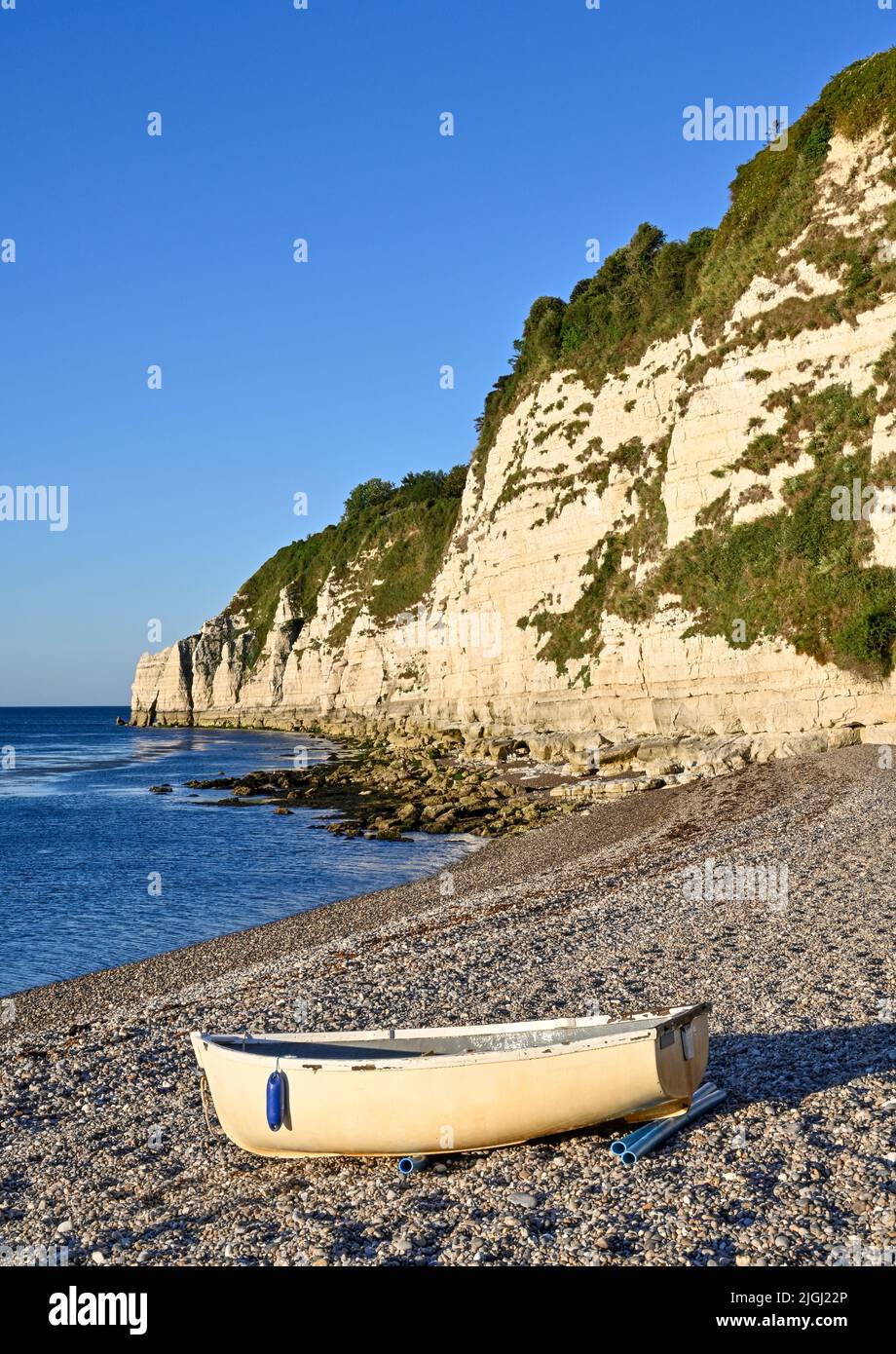 Devon Beer Beach and Beer Head Chalk Cliffs  Summer Stock Photo