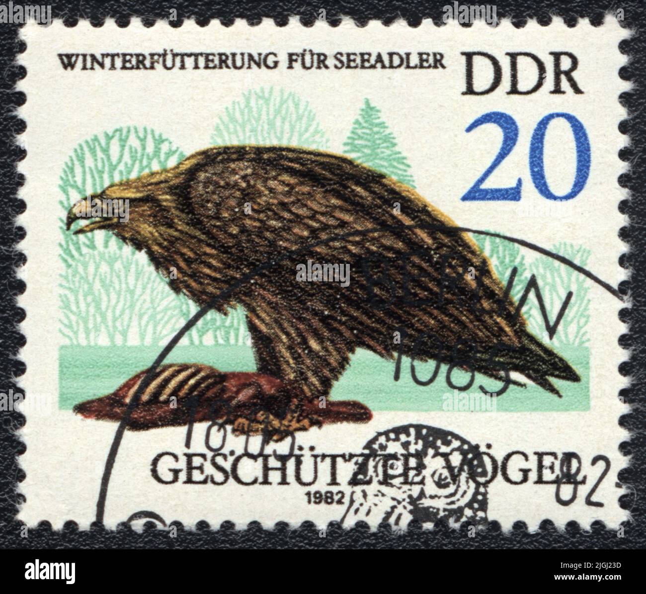 A stamp printed in DDR shows a Eagle, 1982 Stock Photo