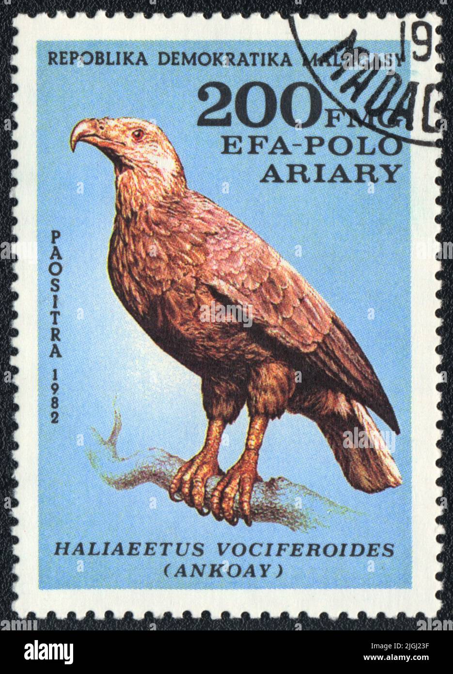 A stamp printed in MALAGASY shows Madagascar Fish Eagle (Haliaeetus vociferoides, ankoay), from series Birds, 1982 Stock Photo