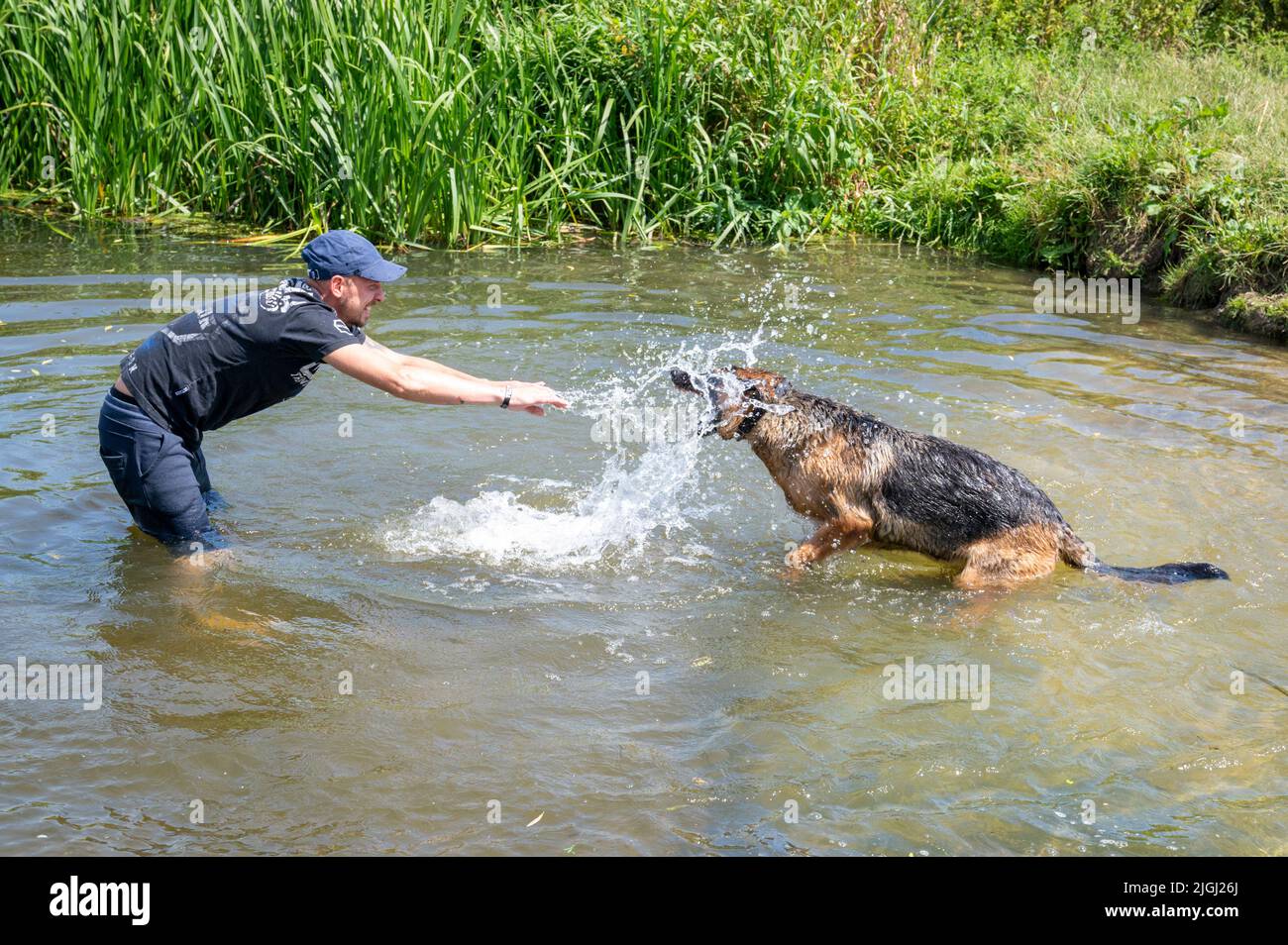 Overcote, Over, Cambridgeshire UK, 11th July 2022. Peter and his German Shepherd dog Mia cool down in the River Great Ouse in the UK heatwave. Amber warnings for high temperatures have been issued in the east of England today as temperatures are forecast to be above 30 degrees centigrade. The UK weather is expected to be hot and sunny most of the week with the potential to break the record for the hottest day at the weekend. Credit: Julian Eales/Alamy Live News Stock Photo