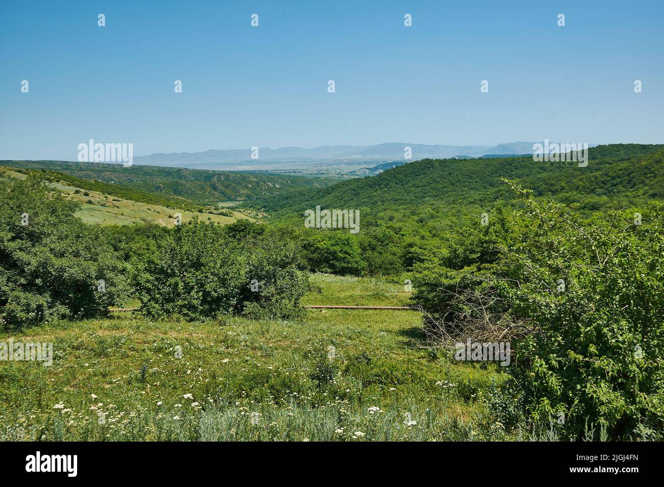 Scenic view of green meadows big mountain formation in the background. Dagestan, Russia Stock Photo