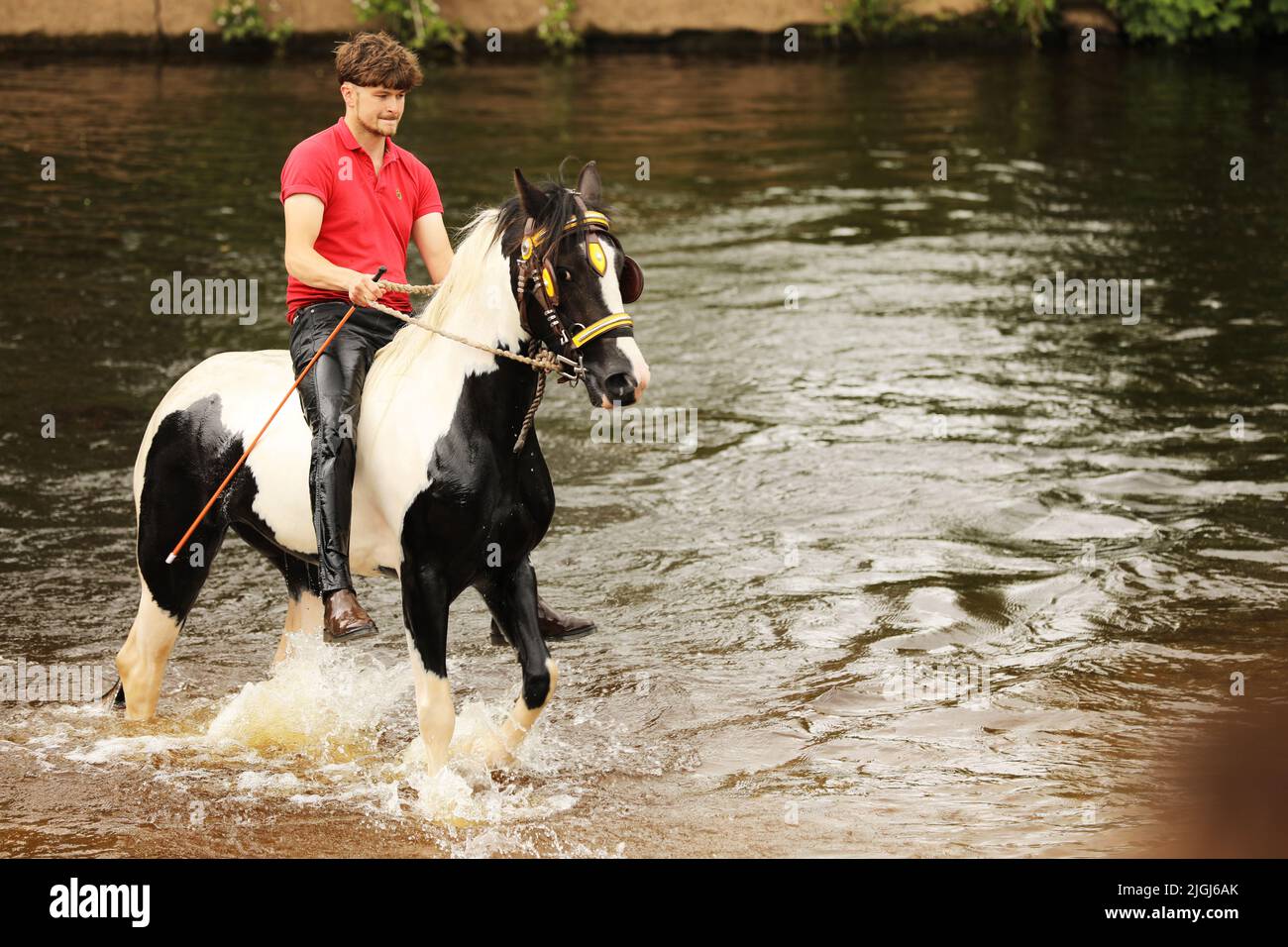 White male riding horse hi-res stock photography and images - Alamy