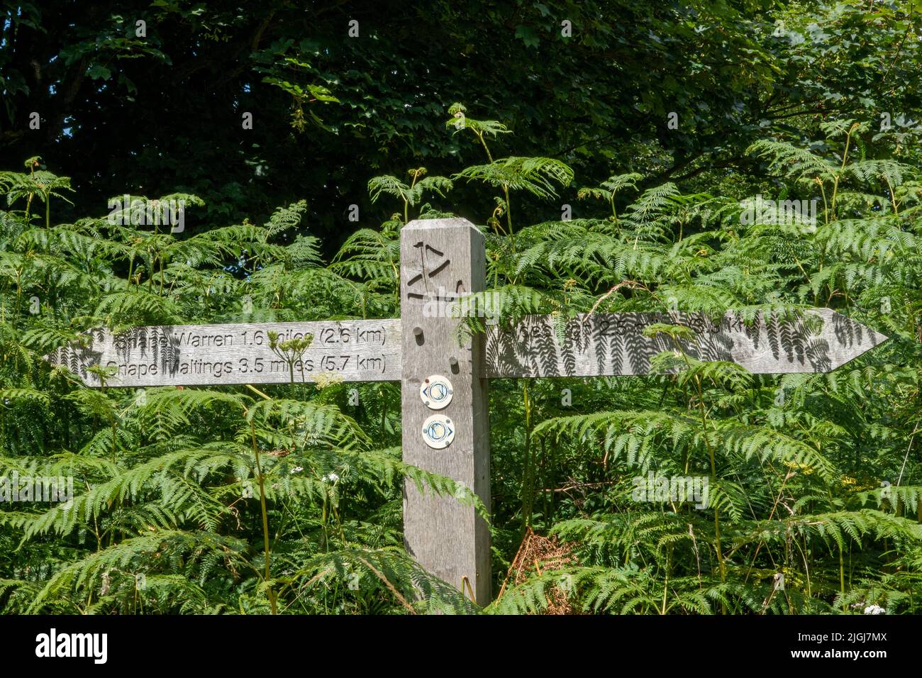 Left and right wooden directional pointers on wooden post on the East Suffolk Line Walkway on the Sailors' Path Stock Photo