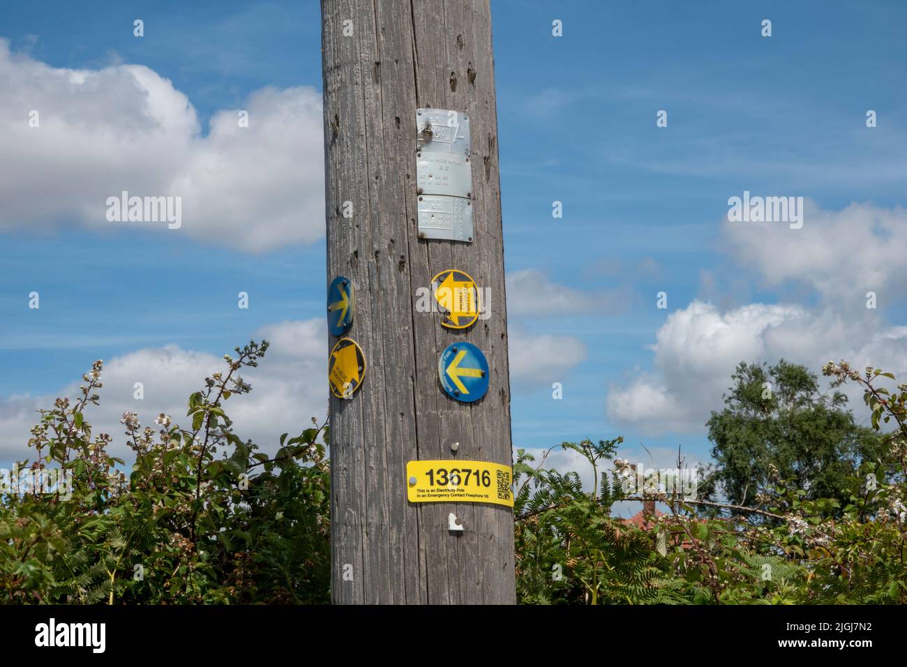 Directional roundel pointers on wooden electricity pole indicating various rights of way on the Suffolk Coastal Path Stock Photo