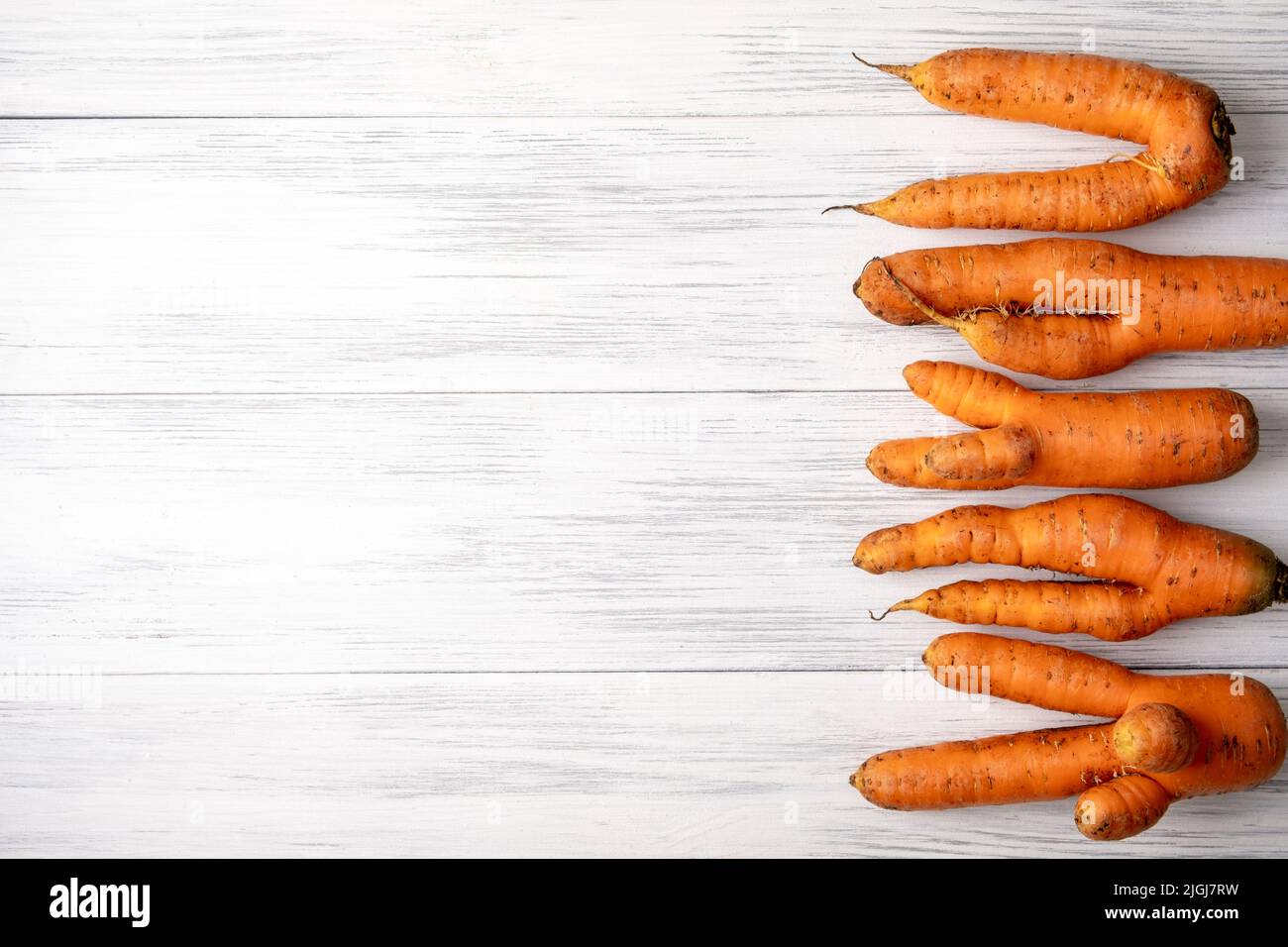 Top view close-up of several ripe orange ugly carrots lie on a light wooden surface with copy space for text. Selective focus. Stock Photo
