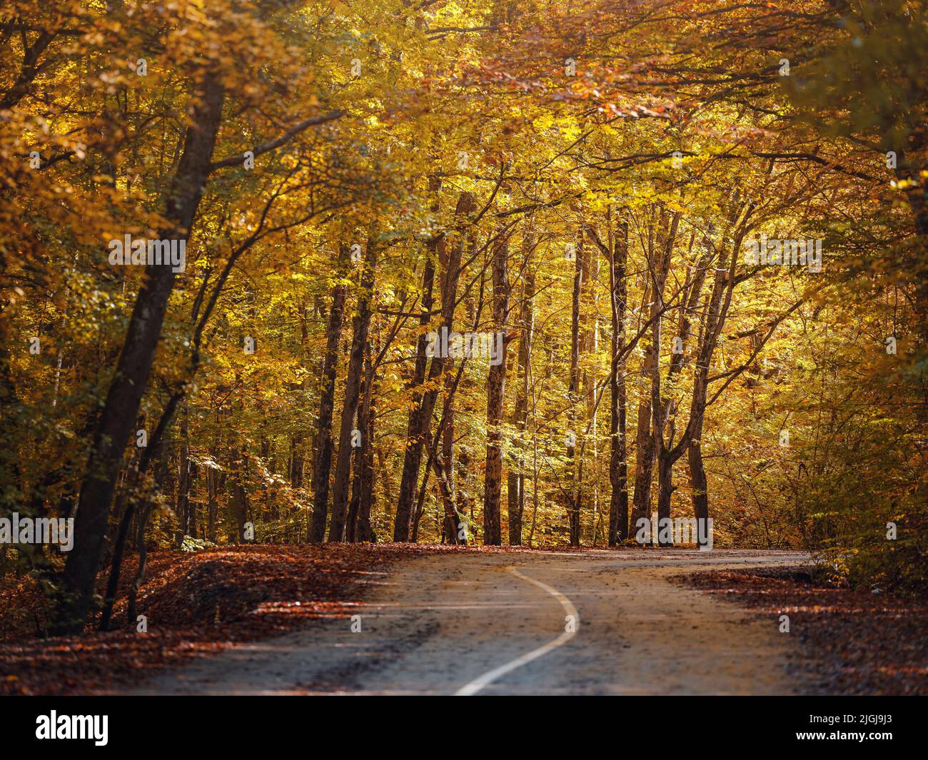 Travel, tourism, recreation concept in fall. Colorful landscape with ...