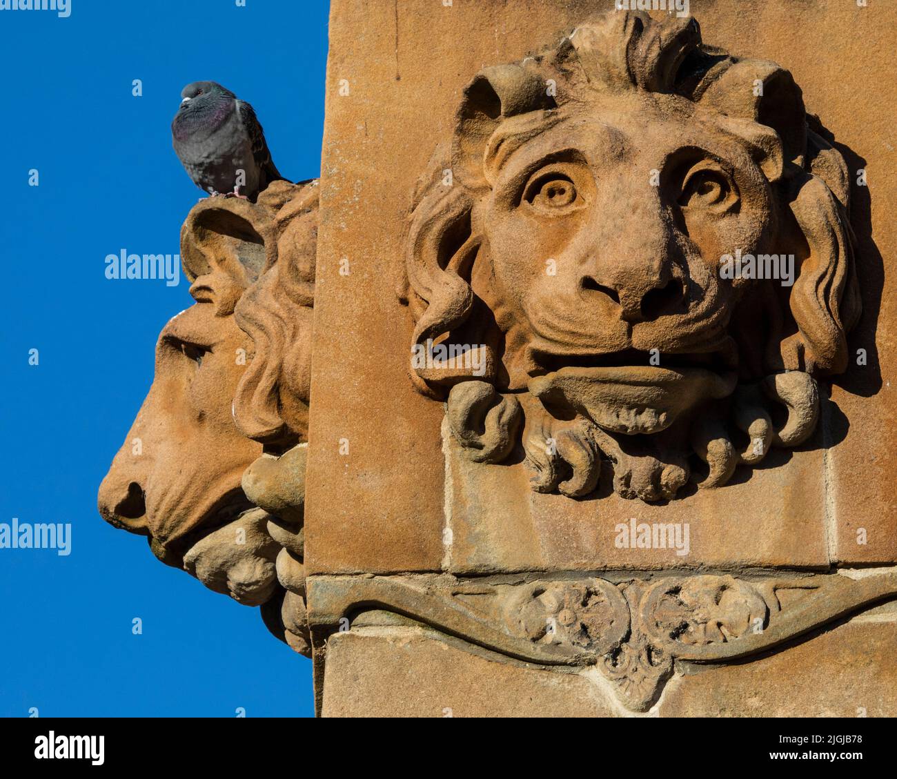 Closeup of the Lion head sculptures on the base of the Sir Walter