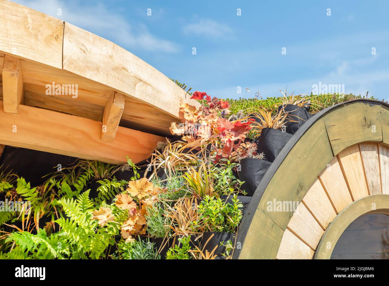 Wooden eco roof covered with green sedum and other roof plants in specially designed roof planters Stock Photo