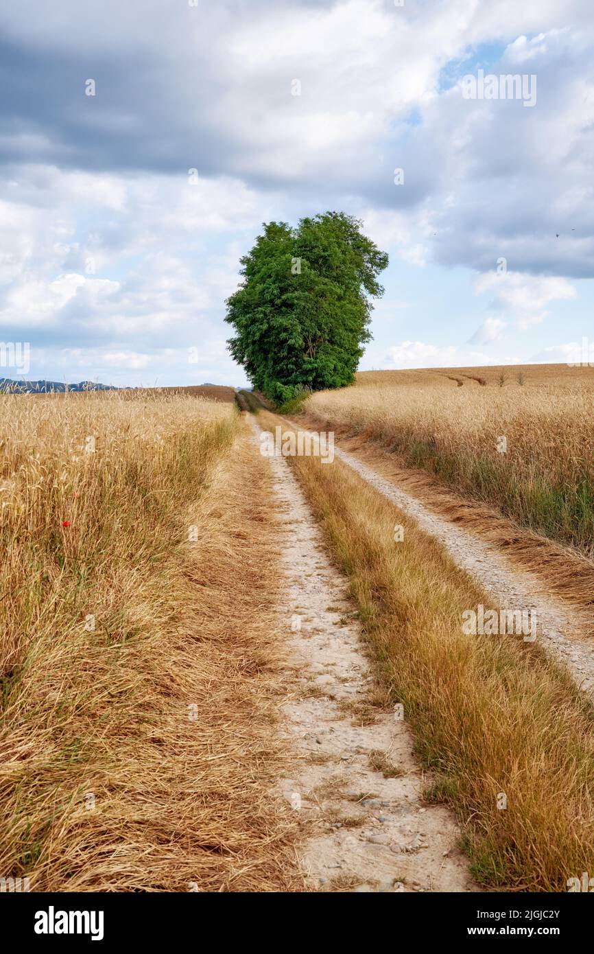 Countryside, farmland and forest close to Lyon, France. A series of