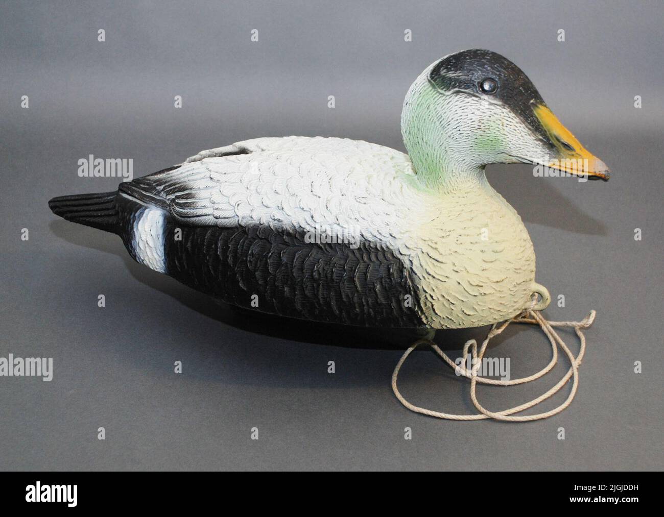 Vette Plastvette depicts an eider. The plastic bird has a string around the neck. Labeling: Eider Edredone. Another brand in oval form with a building in the middle with the text 'Sport plastic' above and 'Made in Italy' below the building. Purchased for a hiking exhibition 'Lockfowls' about seabird hunting and its cover birds, produced in 1994. Stock Photo