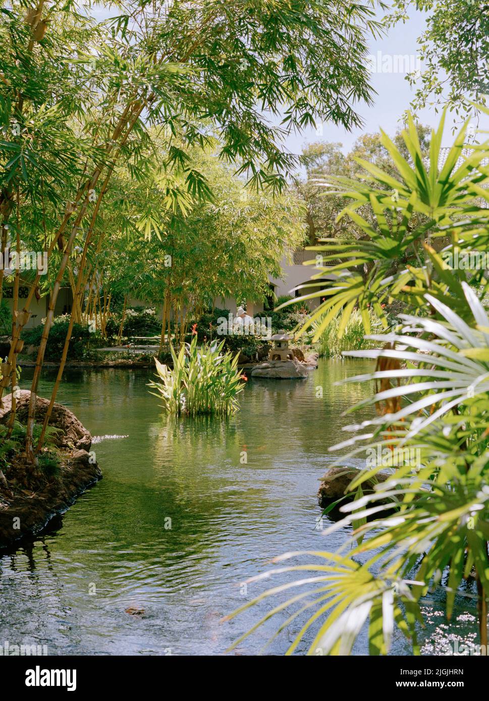 A garden pond at Four Seasons Resort Lana'i at Manele Bay. Lana'i, Hawaii, USA. Stock Photo