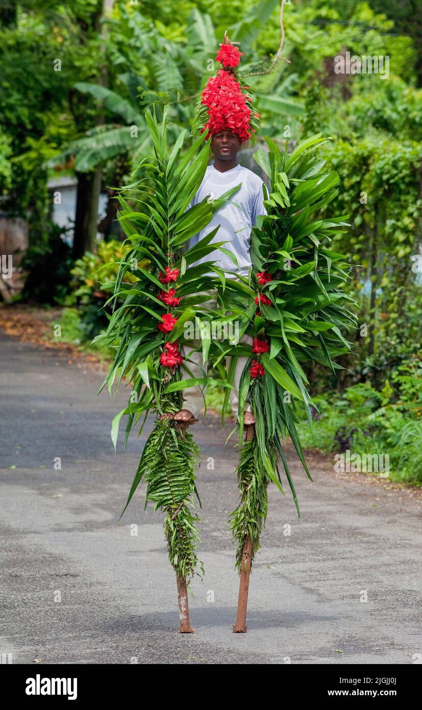 Jamaica, Ocho Rios,The Coyoba Gardens shows rainforest nature and has a