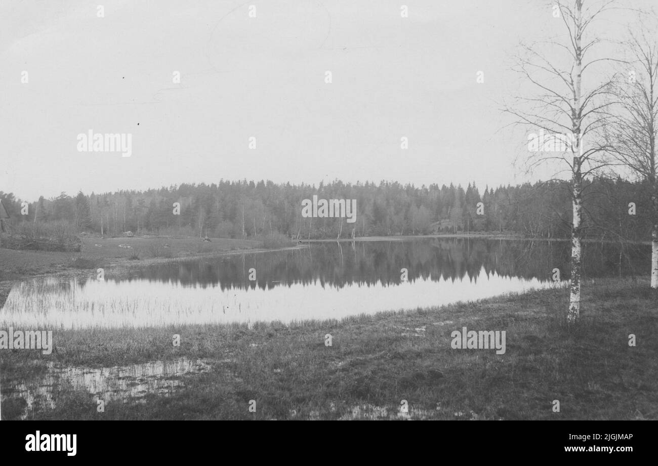 Insjö Insjön groom in Bakareboda. Sillhövda parish Stock Photo - Alamy