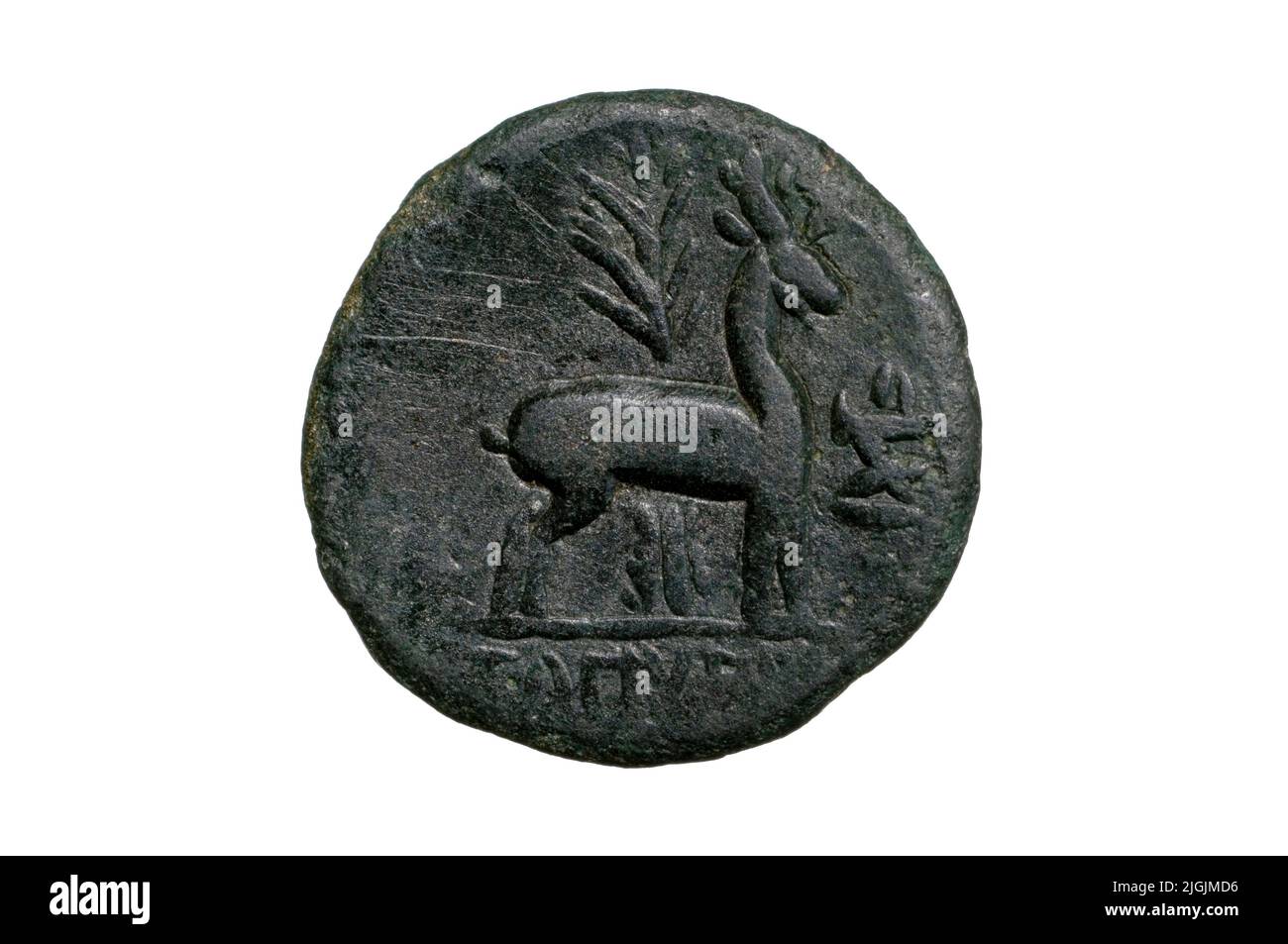 Greek coin of Ephesus Stock Photo