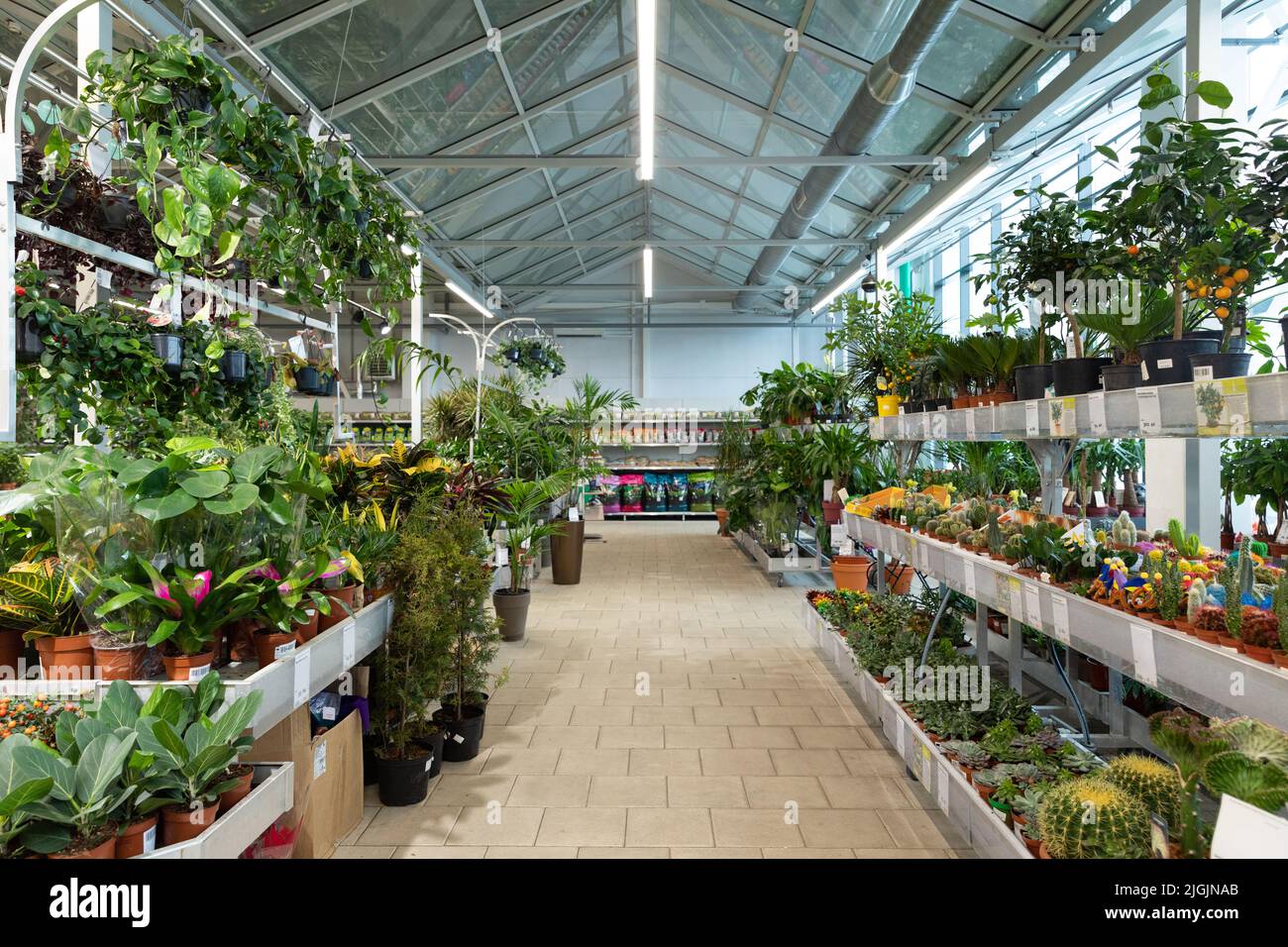 interior of a wholesale store selling potted plants and green spaces