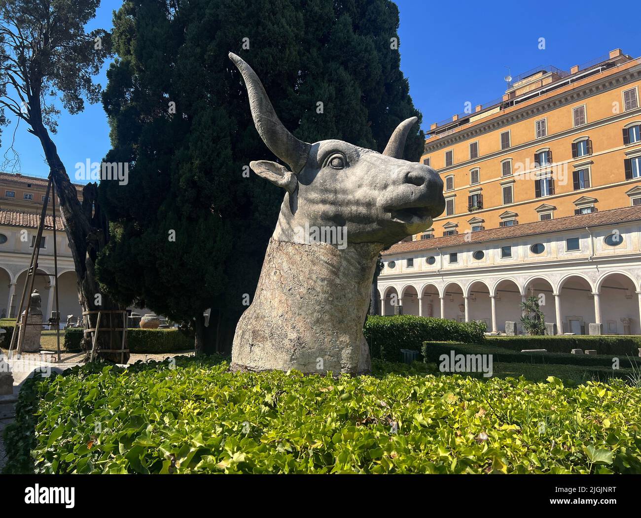 Bull's head in the baths of Diocletian, Rome Stock Photo - Alamy