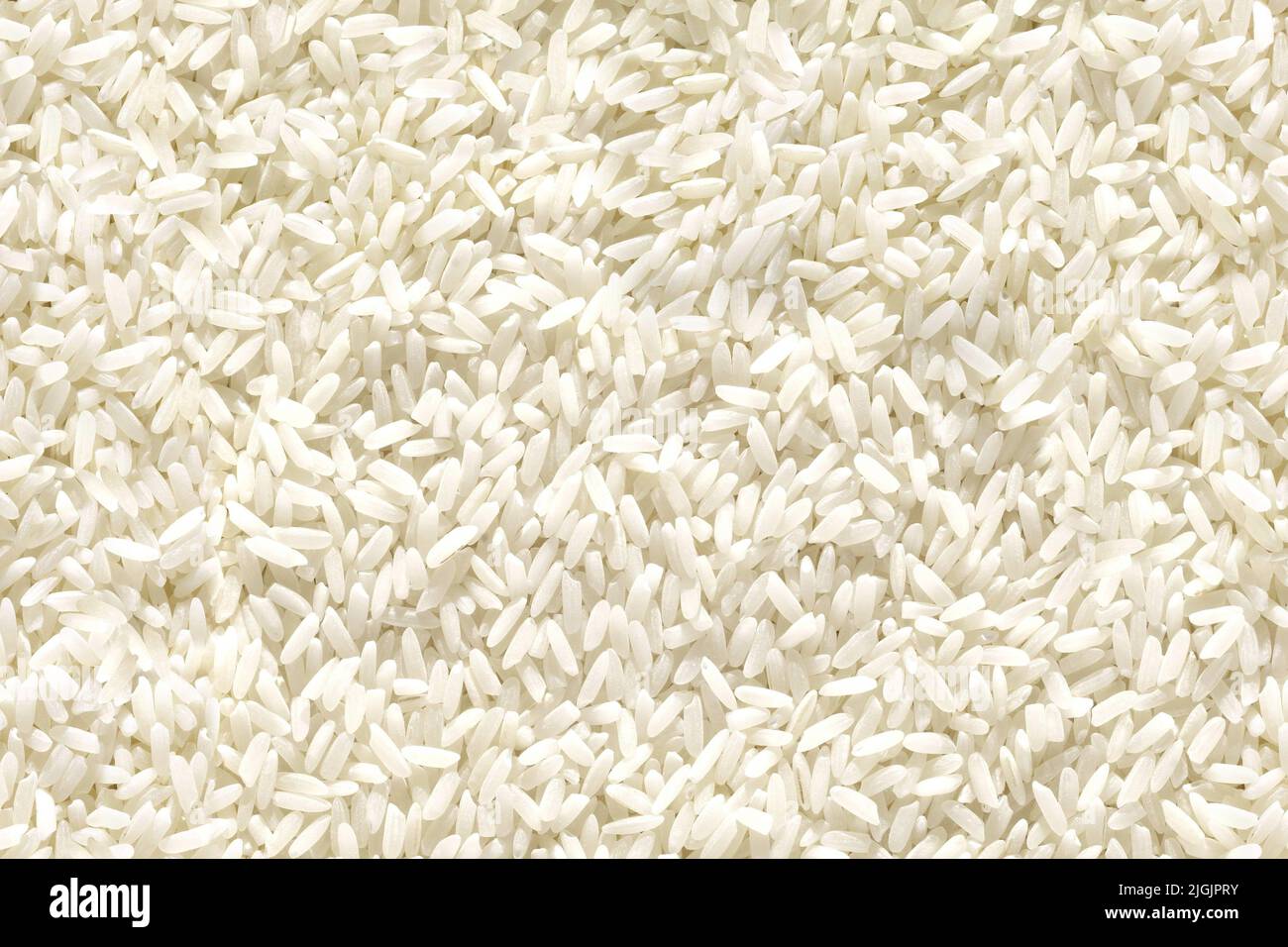 Medium and round grain white jasmine rice texture for background ...