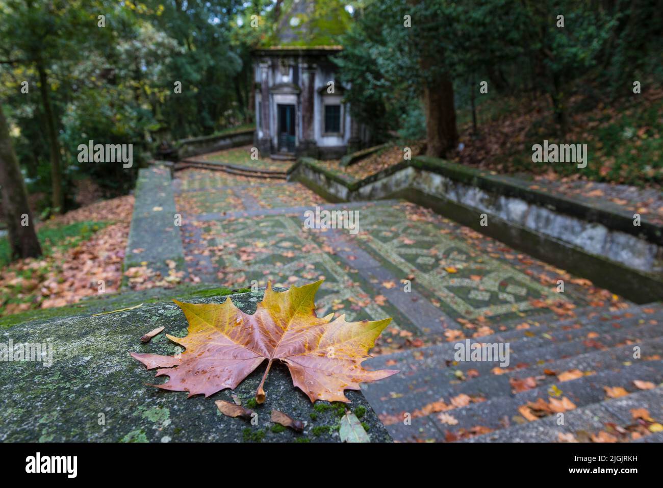 Fallen autumn leaf on the sacred way to the Sanctuary of Bom Jesus do Monte in Tenões, near Braga, in northern Portugal, Chapel in background. Stock Photo