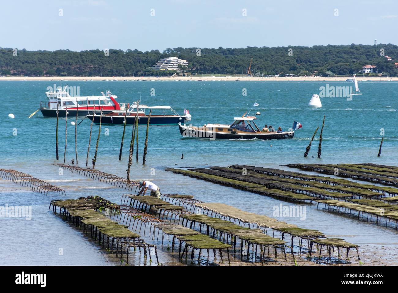 Small tourist boats, including a traditional Pinasse, pass by the oyster beds where an oyster farmer is working. In the background a beach of Arcachon Stock Photo