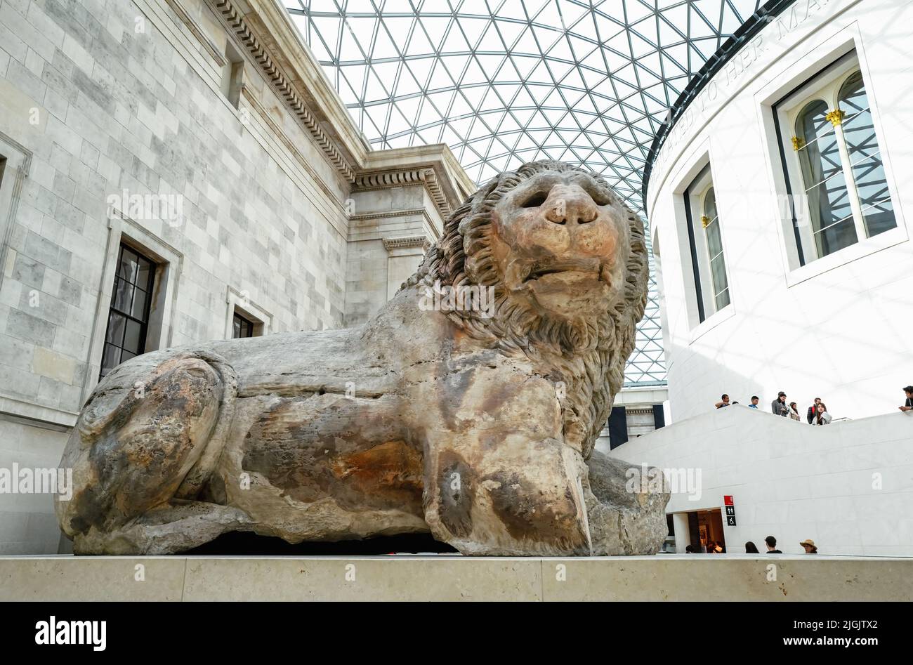 London, UK - 18th April 2022: The Lion of Knidos, a colossal Hellenistic marble statue of a recumbent lion dating from 2nd century BC, displayed in th Stock Photo