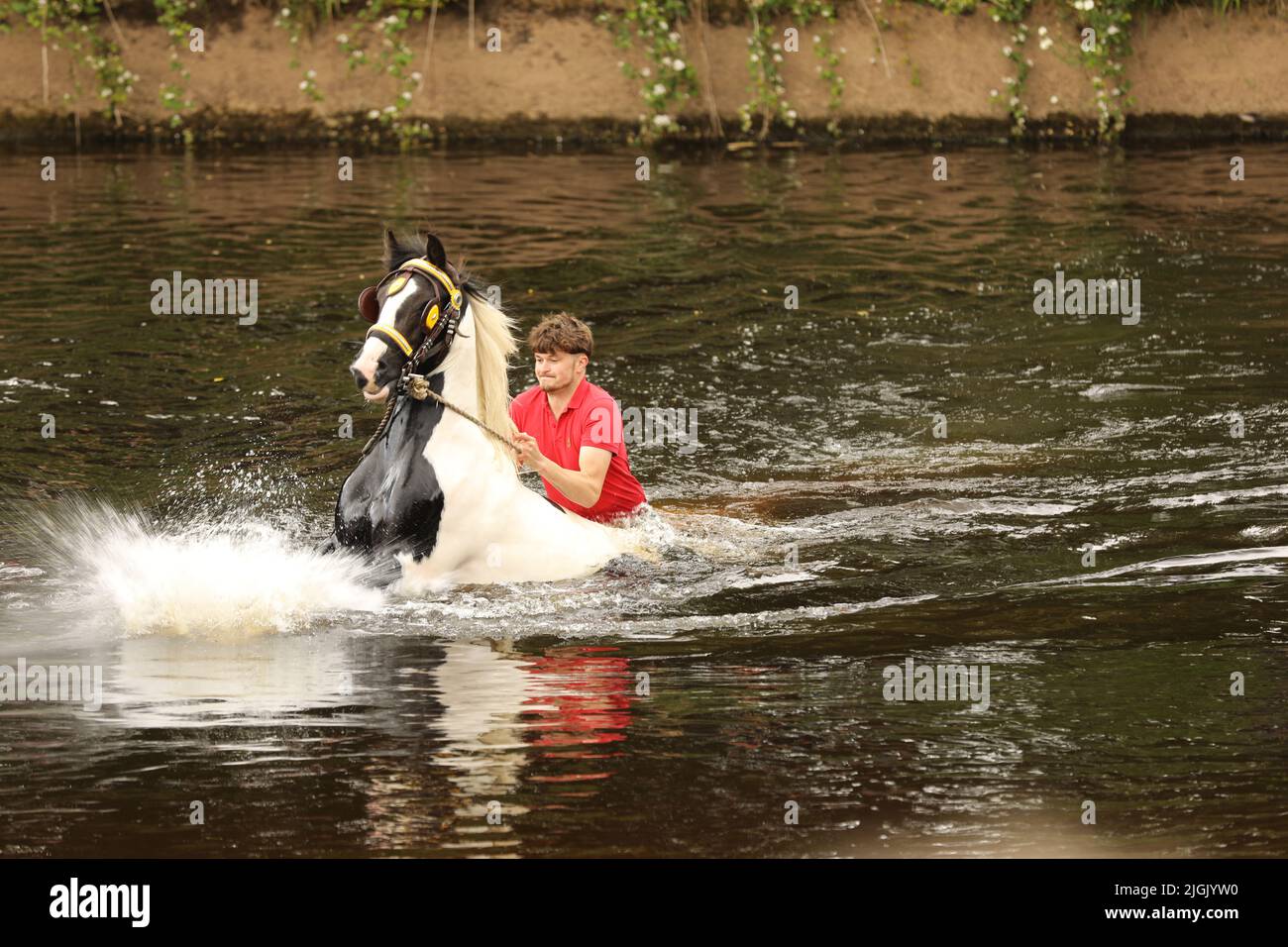 A young adult male riding his horse through the River Eden, Appleby Horse Fair, Appleby in Westmorland, Cumbria Stock Photo